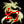   FableRO 2024 -  Shadr45rus |    MMORPG Ragnarok Online   FableRO:  PoringBall,  ,     PK-,   