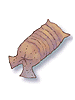   Fable.RO PVP- 2024 -   - Earthworm Peeling |    Ragnarok Online MMORPG   FableRO:  , Lovely Heat, ,   