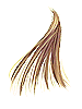   Fable.RO PVP- 2024 -   - Golden Hair |    MMORPG  Ragnarok Online  FableRO:  , Ring of Speed,  ,   