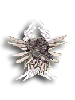   Fable.RO PVP- 2024 -   FableRO - Evil Lightning Wings |    MMORPG Ragnarok Online   FableRO: Bride Veil, Lost Wings of Archimage,  ,   