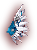   Fable.RO PVP- 2024 -   - Anti-Collider Wings |     MMORPG Ragnarok Online  FableRO:  ,  ,   ,   