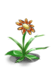   Fable.RO PVP- 2024 -   - Fancy Flower |    MMORPG  Ragnarok Online  FableRO:   , Majestic Fox Queen,  ,   