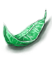   Fable.RO PVP- 2024 -  - Green Herb |     MMORPG Ragnarok Online  FableRO:  , Frozen Dragon,  ,   