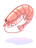   Fable.RO PVP- 2024 -   - Shrimp |    MMORPG Ragnarok Online   FableRO:   Summer,   Baby Assassin,   ,   