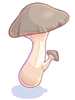   Fable.RO PVP- 2024 -   - Edible Mushroom |    MMORPG  Ragnarok Online  FableRO: Autoevent PoringBall,   ,  ,   