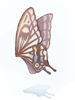   Fable.RO PVP- 2024 -   - Giant Butterfly Wing |    Ragnarok Online MMORPG   FableRO:  , Reindeer Hat, Autoevent Run from Death,   