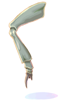   Fable.RO PVP- 2024 -   - Insect Leg |    Ragnarok Online  MMORPG  FableRO:  GW   ,   Flying Star Gladiator,  ,   