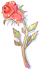   Fable.RO PVP- 2024 -   - Witherless Rose |    Ragnarok Online MMORPG   FableRO:  ,  , Kitty Ears,   